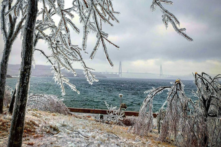 Во Владивостоке из-за обледенения закрыли мост на остров Русский. Людей обещают эвакуировать на пароме