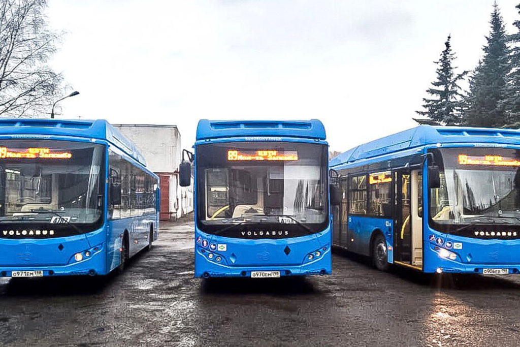 Автобусы Volgabus в Новокузнецке