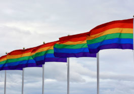 ЛГБТ флаги