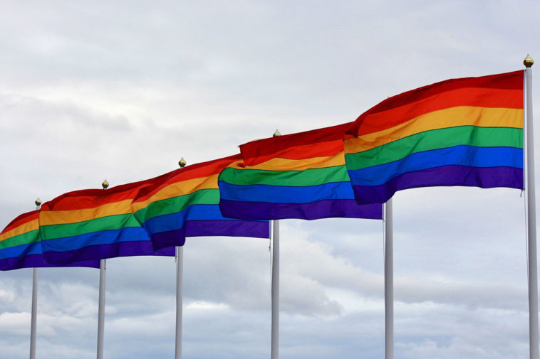 ЛГБТ флаги