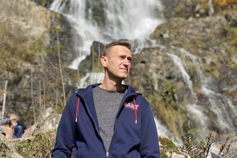 Навальный возвращение в Россию