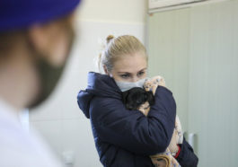 Девушка с домашним питомцев в ветеринарной клинике