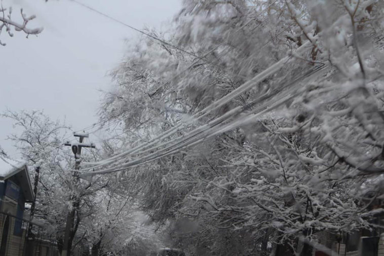 Дагестан без света из-за снега