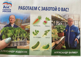 Жителям района в Петербурге разослали семена с агитацией за депутатов от «Единой России»
