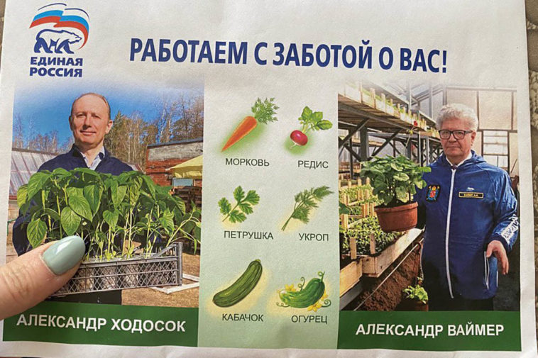 Жителям района в Петербурге разослали семена с агитацией за депутатов от «Единой России»