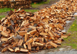Минпромторг предложил ограничить экспорт пиломатериалов из-за дефицита древесины