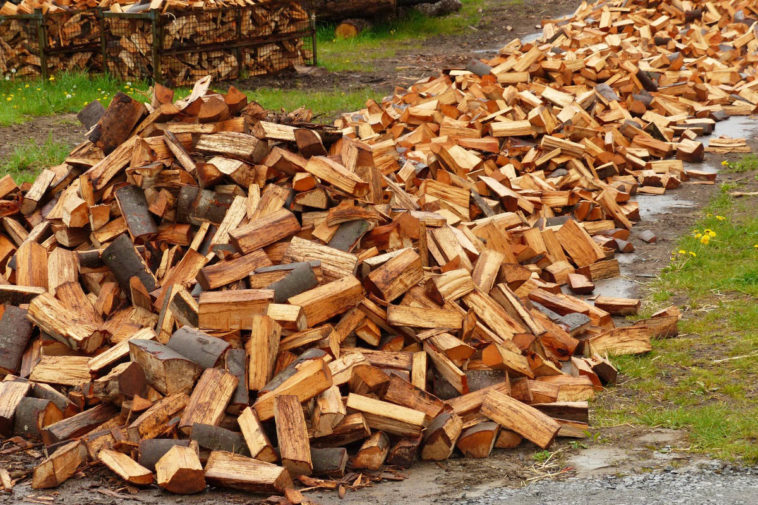 Минпромторг предложил ограничить экспорт пиломатериалов из-за дефицита древесины