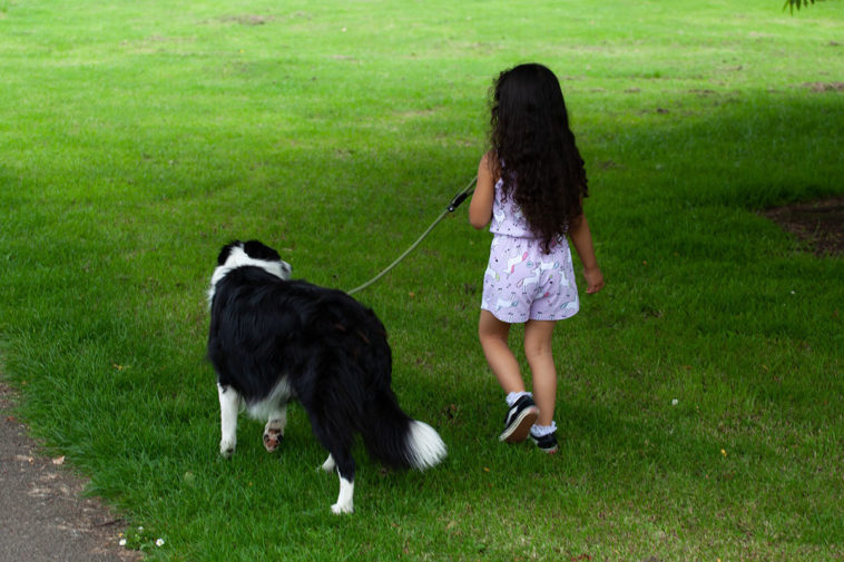 Девочка выгуливает собаку