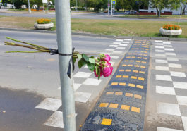 Цветы в память о погибших детях на месте ДТП на пешеходном переходе в районе д. 2 на ул. Авиаторов