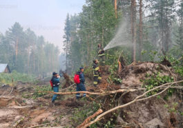 Работы по ликвидации лесного пожара в Суоярвском районе