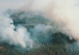 Общество добровольных лесных пожарных: Карелия